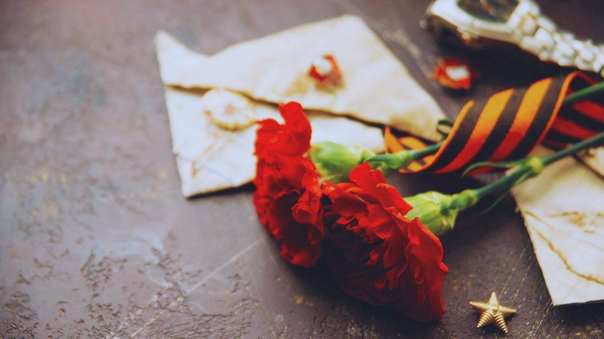 В граните застыла Победа