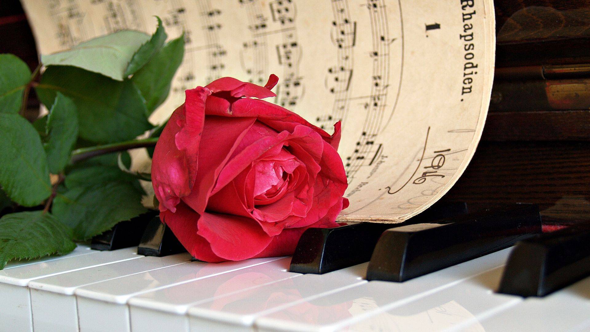 Сто лет любви