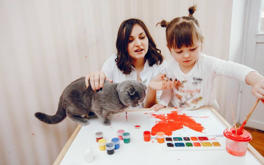 Кот в мешке