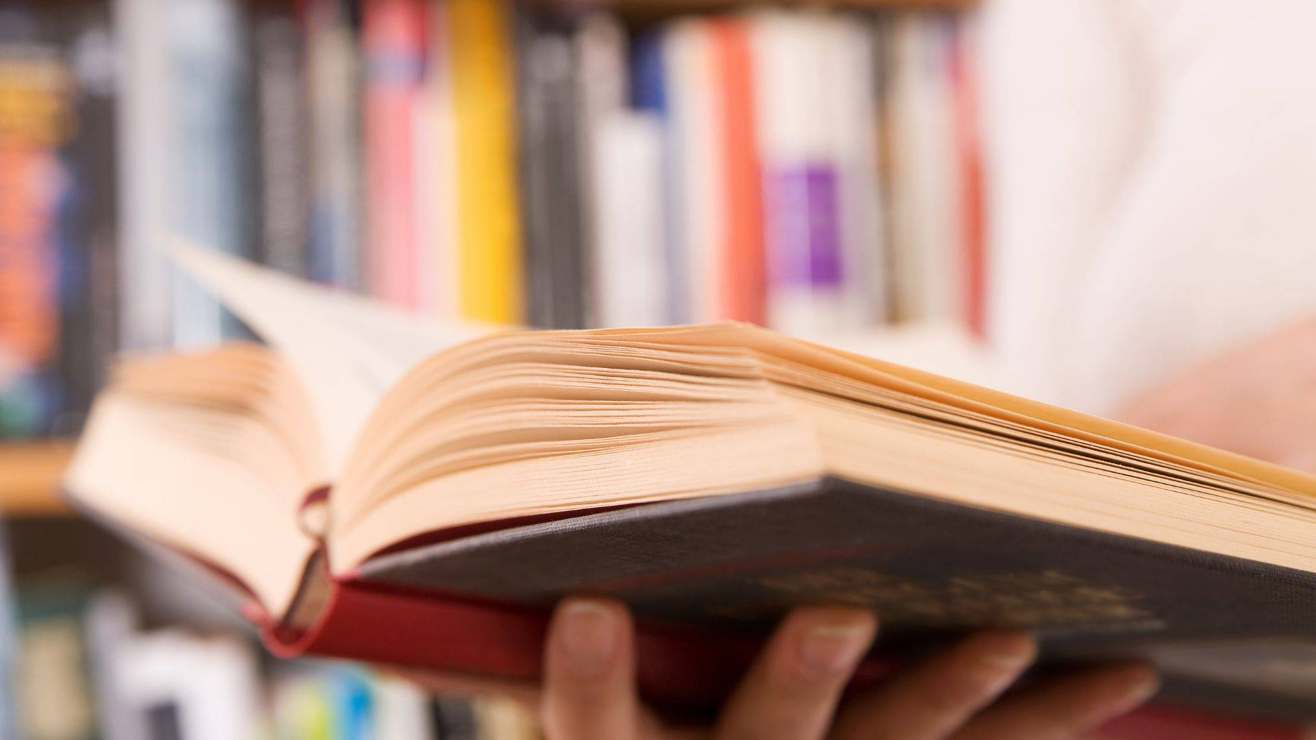 Два Сергея, два друга  —  метель да вьюга