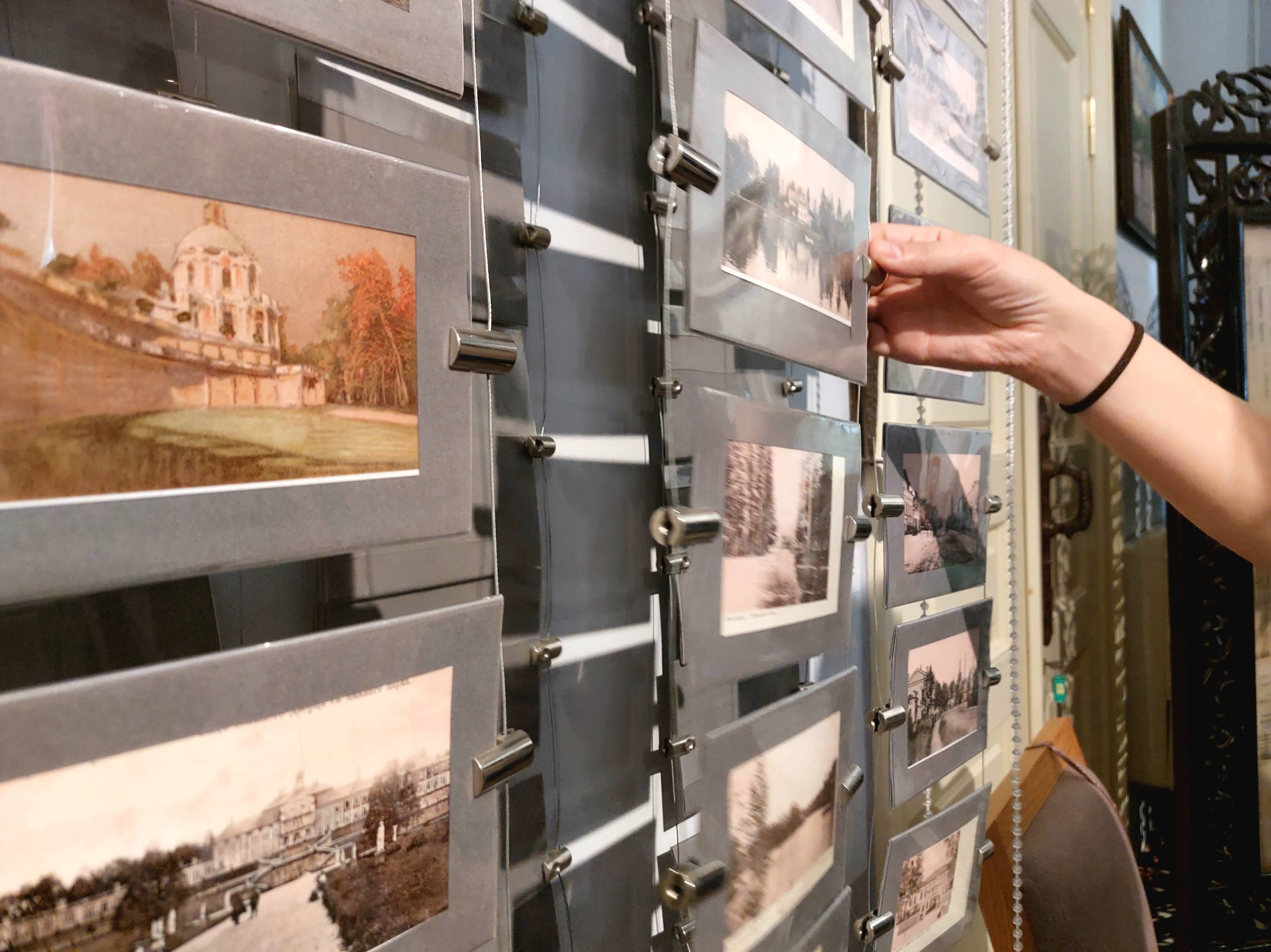 Библиотечные системы Выборгского и Петродворцового районов: новые грани сотрудничества