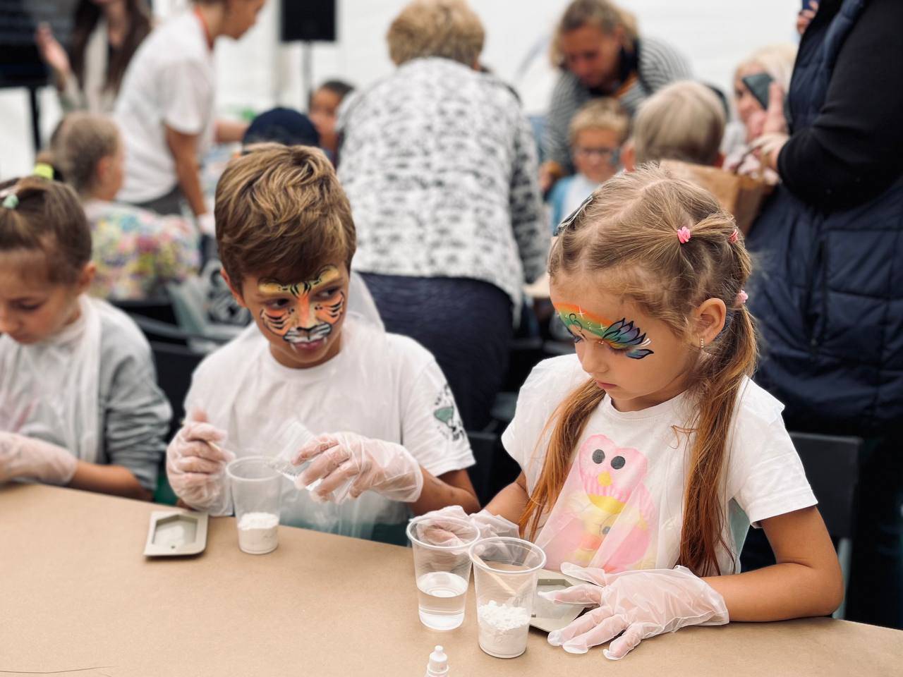 Большой семейный фестиваль под открытым небом