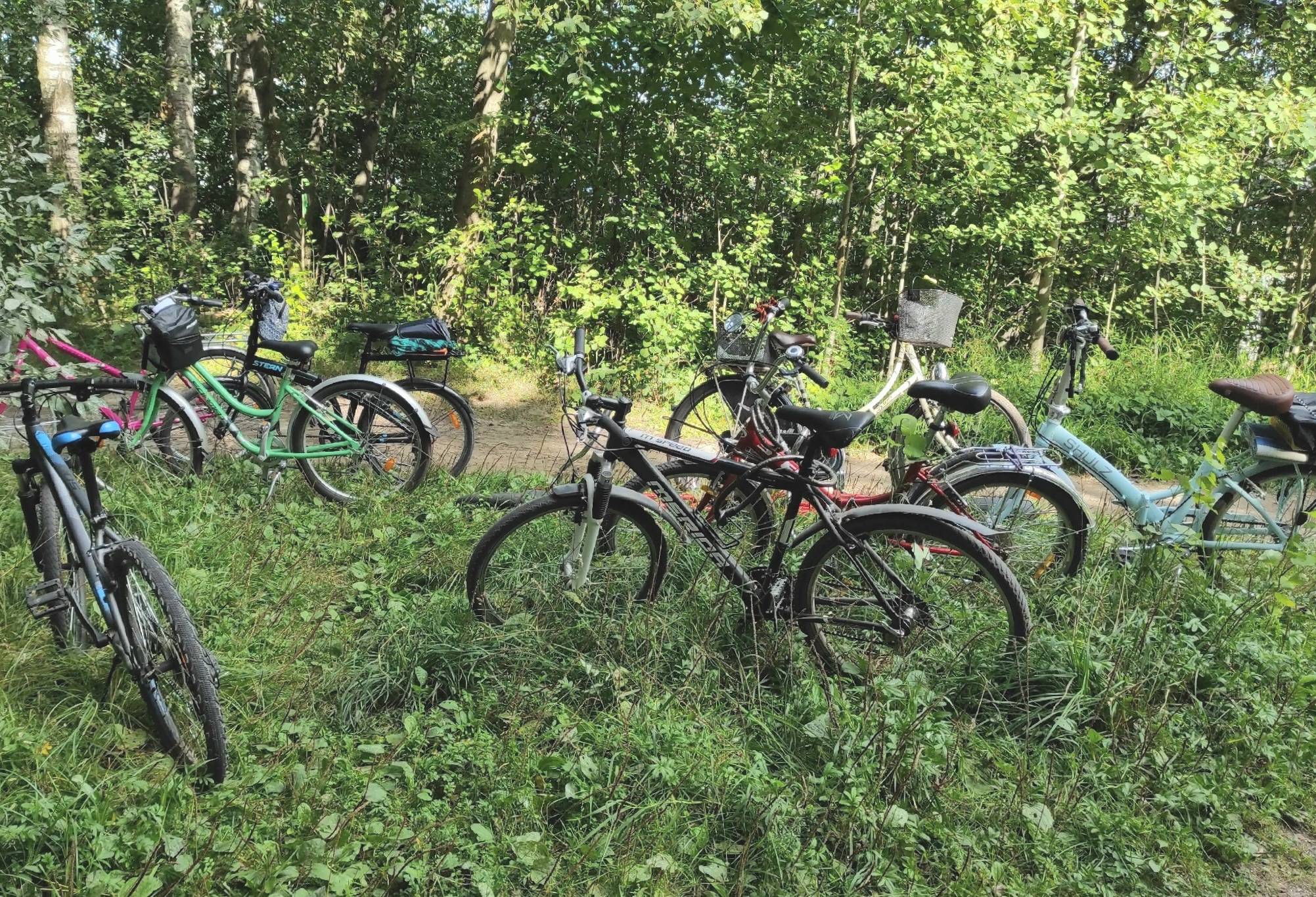 Велопрогулка «В поисках прекрасного»