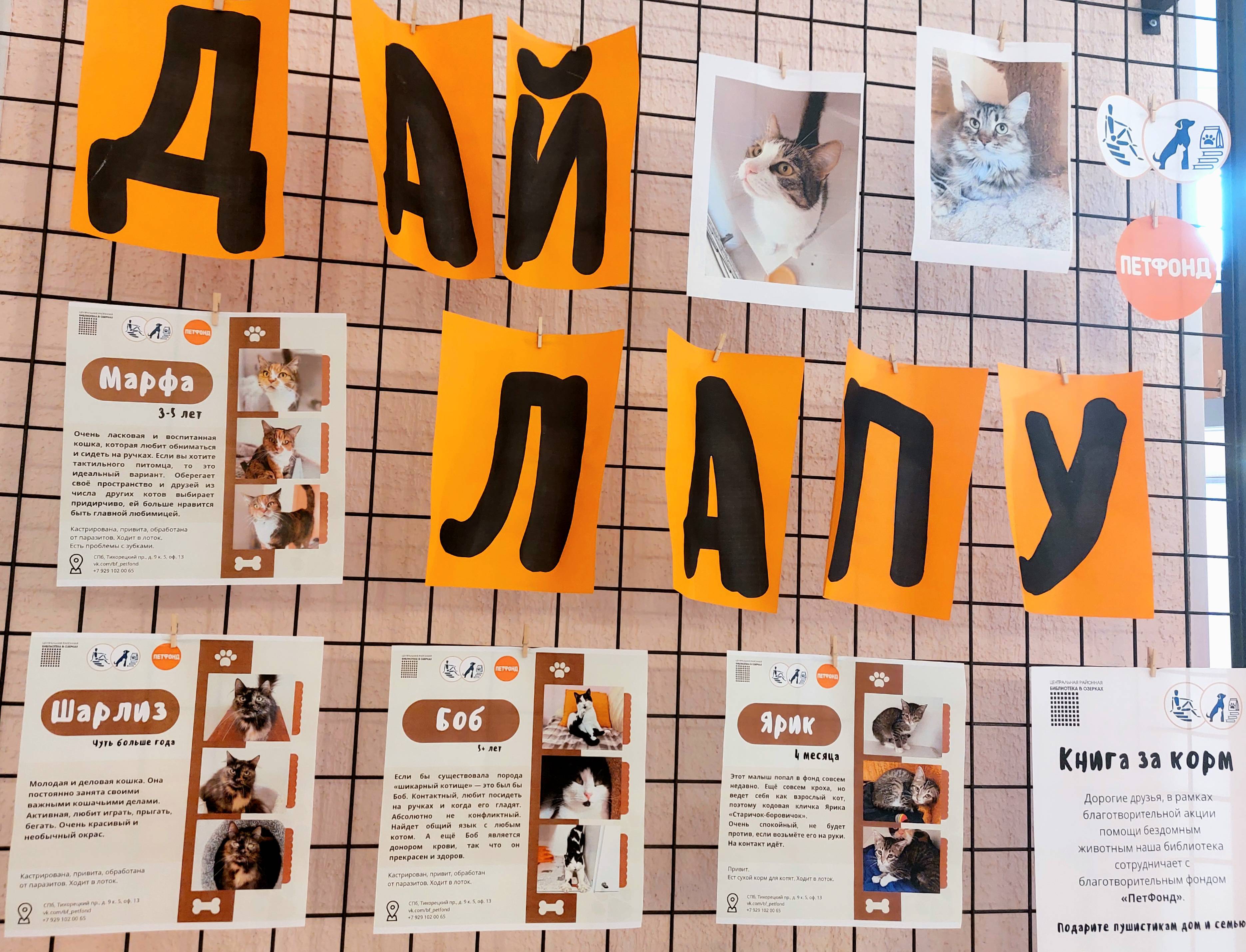 Итоги XII Благотворительного марафона «Книга за корм»