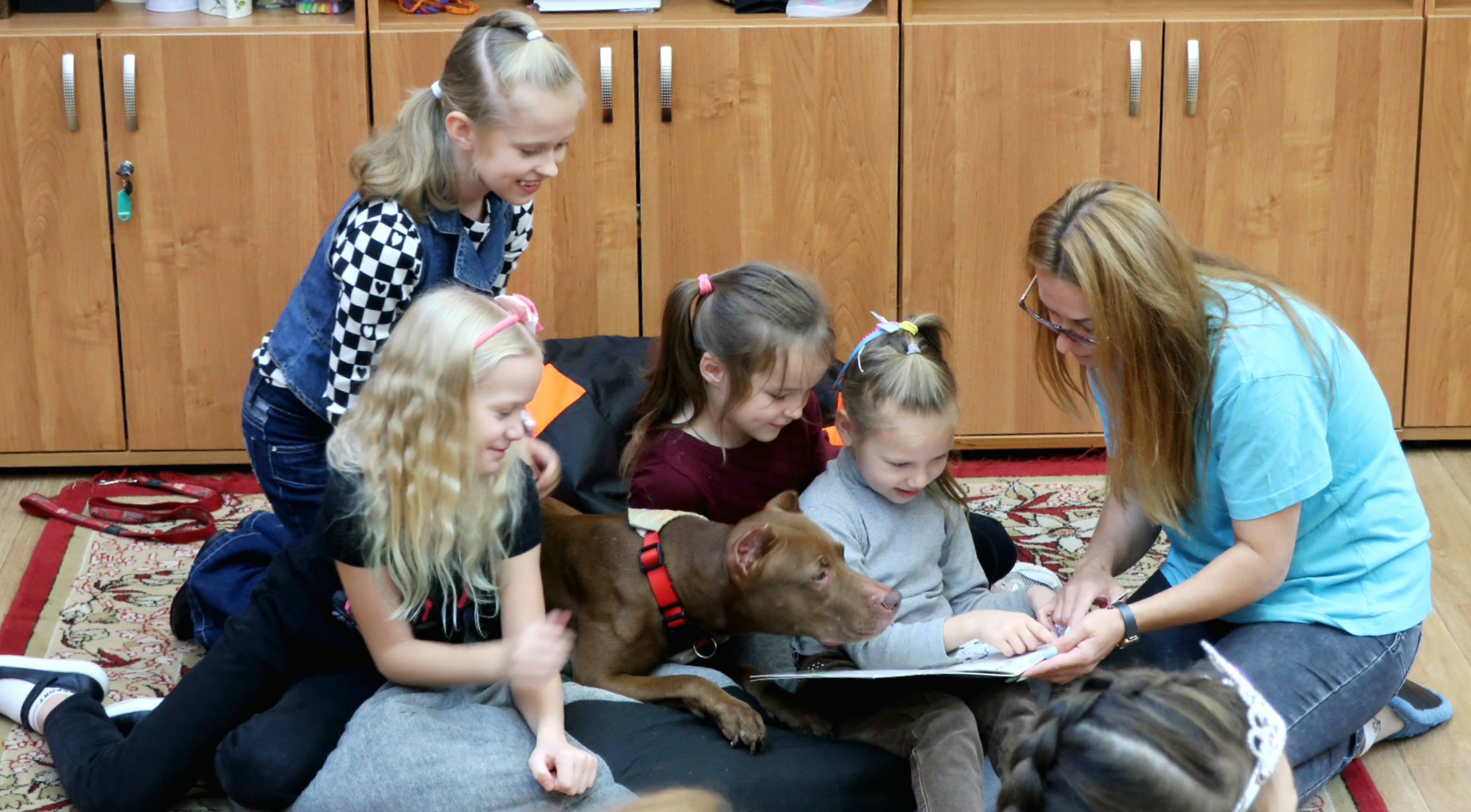 Открытое занятие «Собака-учитель. Чему может научить собака»