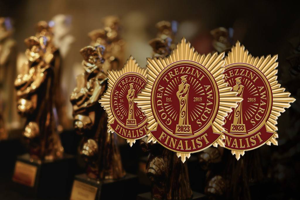 Мы – финалисты VI Международной премии «Золотой Трезини»