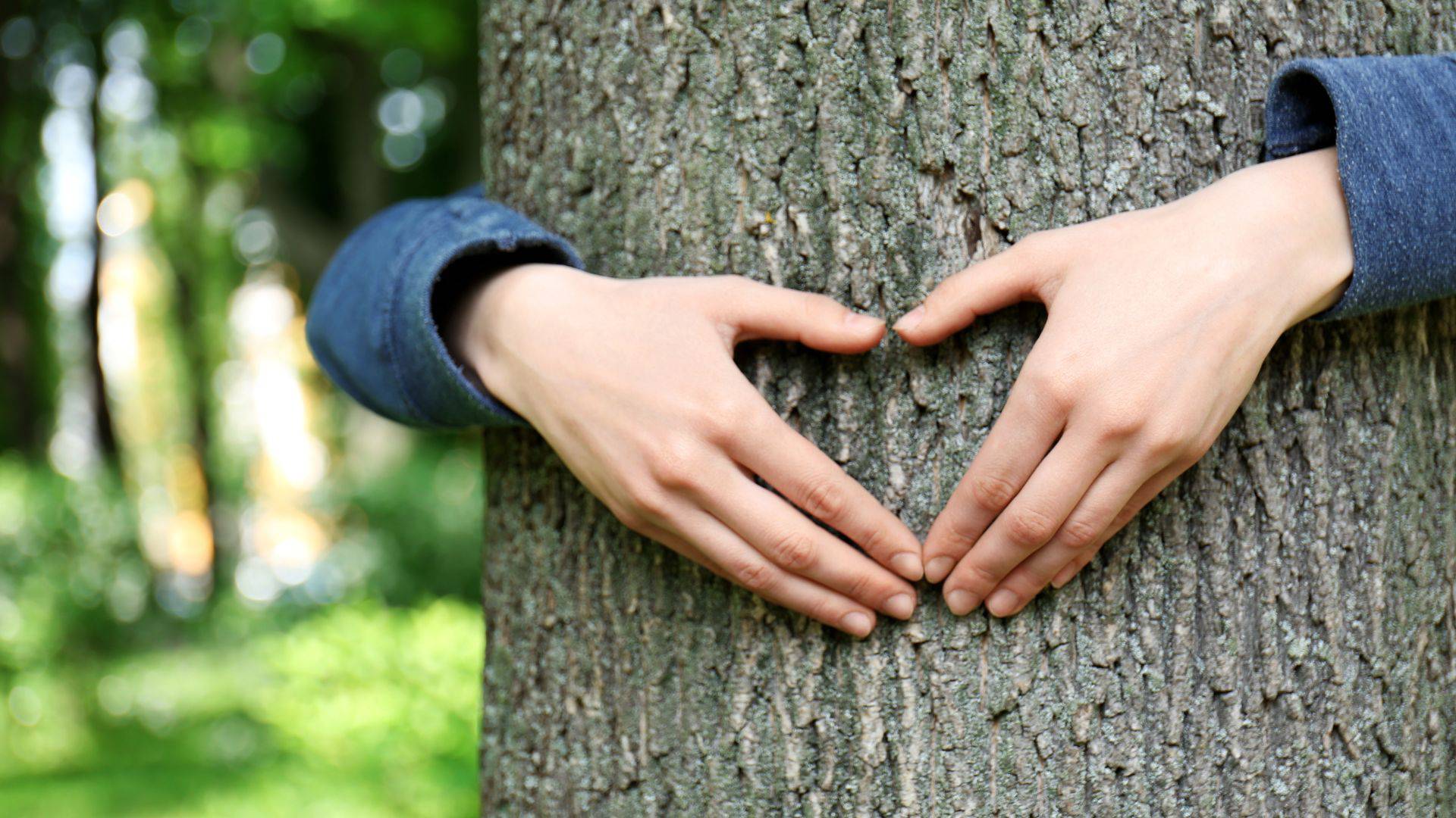 «Добрый субботник» на Верхнем Суздальском озере