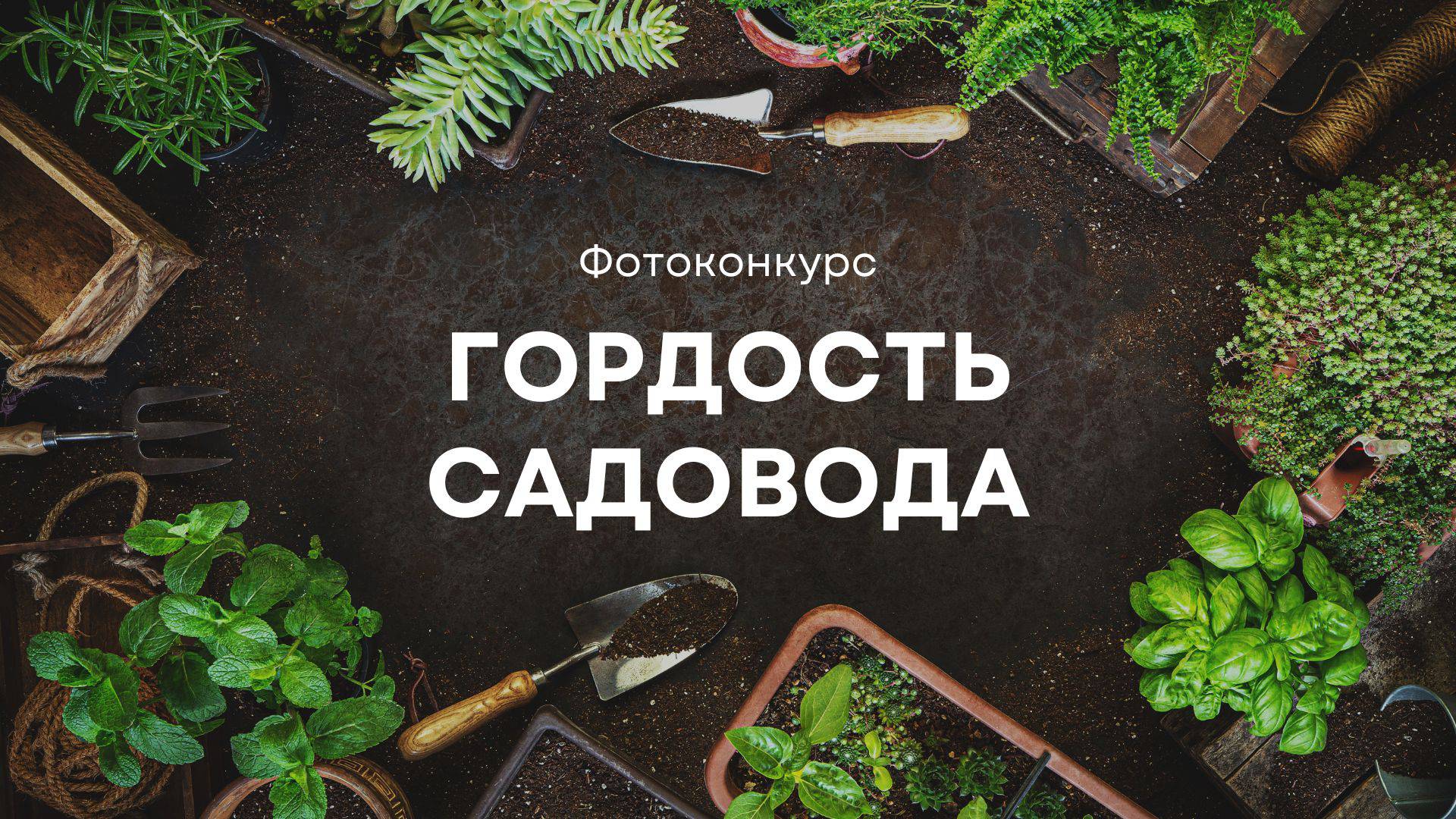 Фотоконкурс «Гордость садовода»