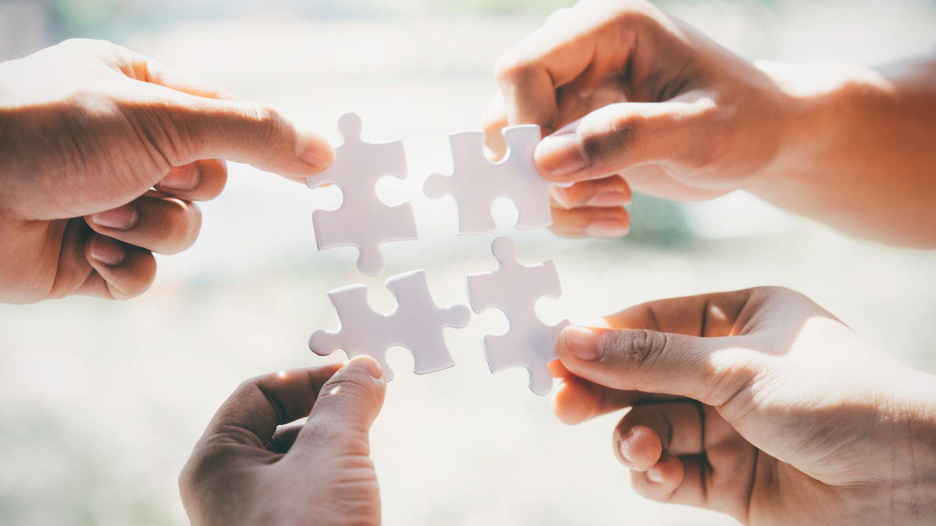 biblioteki-vyborgskogo-rajona-podelilis-opytom-socialnogo-partnerstva