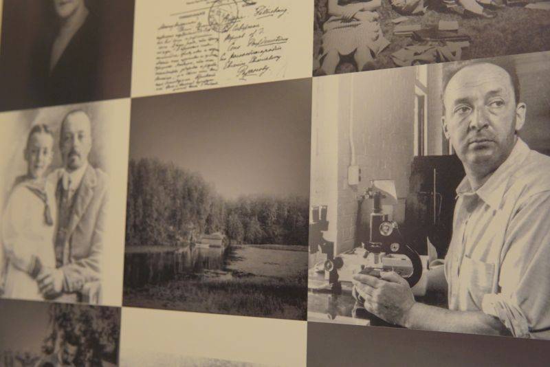 Фрагмент экспозиции выставки «16 лабиринтов Владимира Набокова»